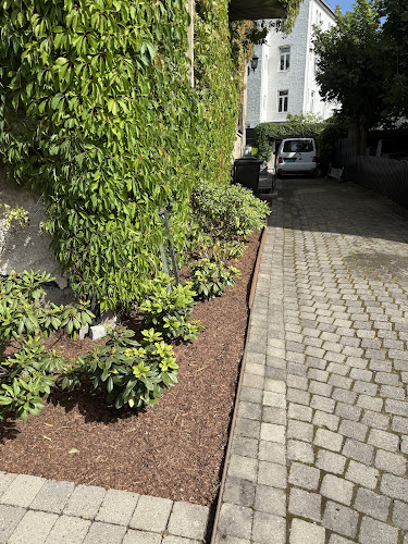 Bilde fra BLOMMENHOLM HAGESERVICE AS i Vøyenenga